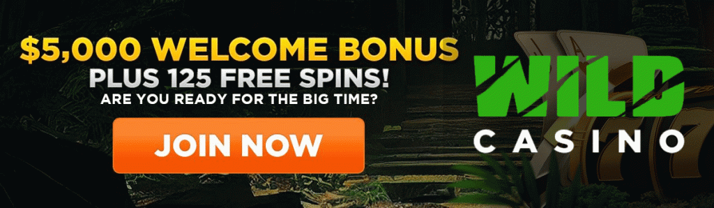 Play Legal Maryland Online Blackjack At Wild Casino!