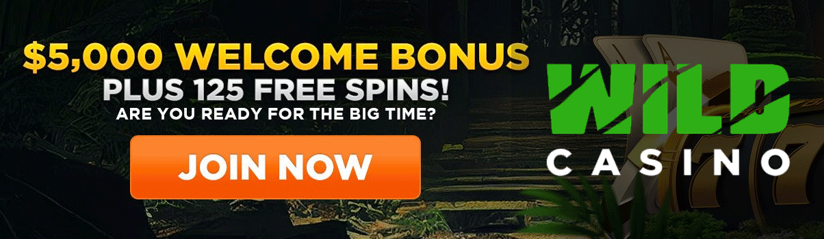 Play Legal New York Online Blackjack At Wild Casino